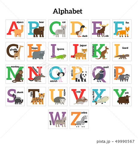 English Animals Zoo Alphabetのイラスト素材