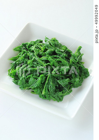 ワサビ菜の茹で物 ワサビ菜の茹で物 49992049
