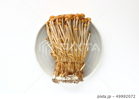 茶エノキ 49992072