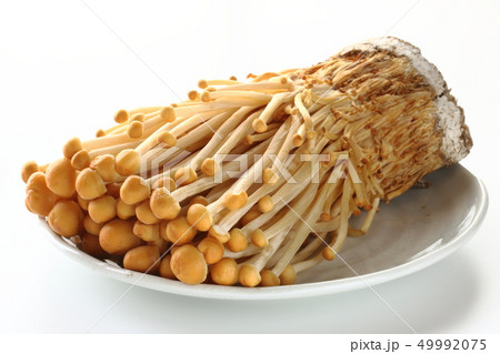 茶エノキ 49992075