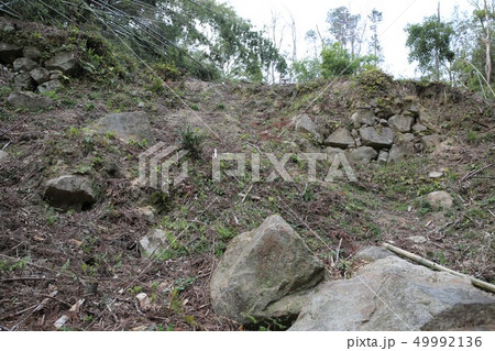 芥川山城 49992136
