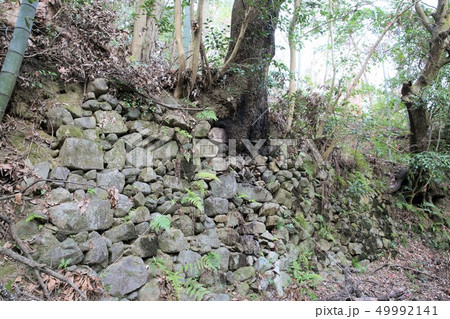 芥川山城 芥川山城 49992141