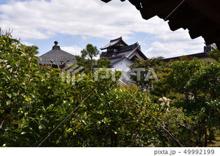 天龍寺 天龍寺 49992199