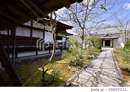 天龍寺 天龍寺 49992211