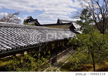 天龍寺 天龍寺 49992219