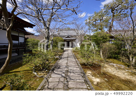 天龍寺 天龍寺 49992220