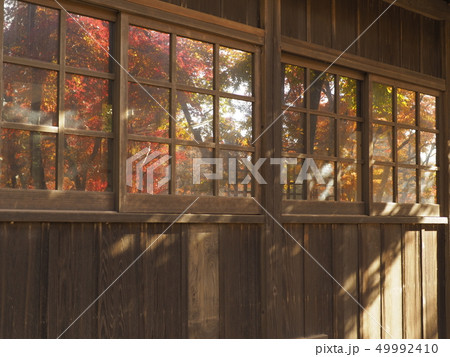 千葉県  本土寺の秋紅葉名所 49992410