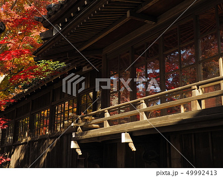 千葉県  本土寺の秋紅葉名所 49992413