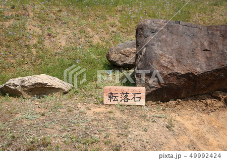 小牧山城 49992424