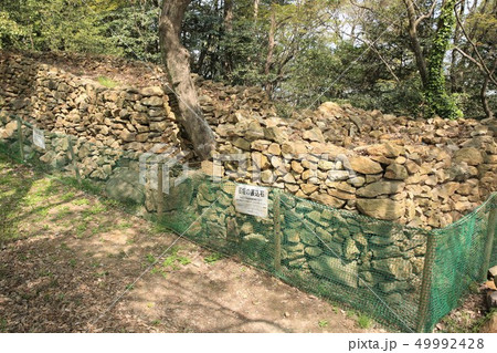 小牧山城 49992428
