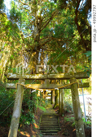 籾山神社 49992797