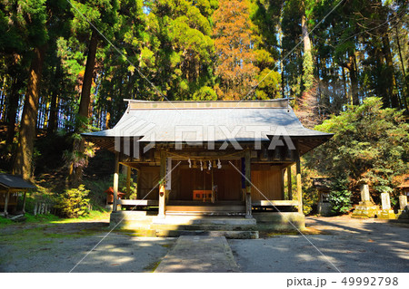 籾山神社 49992798