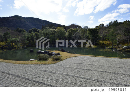 天龍寺 曹源池庭園 天龍寺 曹源池庭園 49993015
