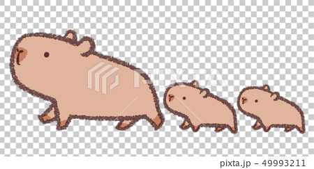 Capybara Parent And Child Stock Illustration