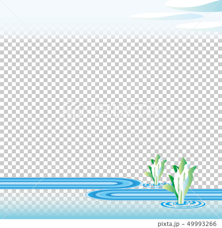 Waterside where the waterhole blooms 49993266