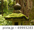 苔と灯篭 49993283