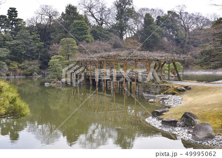 仙洞御所 南池 八ッ橋 仙洞御所 南池 八ッ橋 49995062
