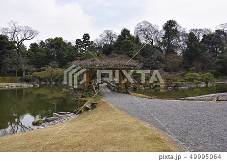仙洞御所 南池 八ッ橋 仙洞御所 南池 八ッ橋 49995064