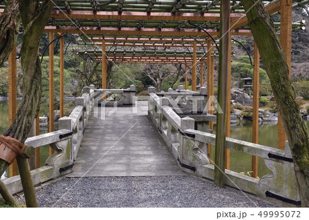 仙洞御所　南池　八ッ橋 49995072