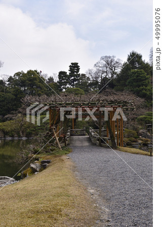 仙洞御所 南池 八ッ橋 仙洞御所 南池 八ッ橋 49995076