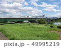 桂川に架かる「久世橋」。江戸時代橋はなく諸大名は「渡し舟」で渡り江戸へ向かった 49995219