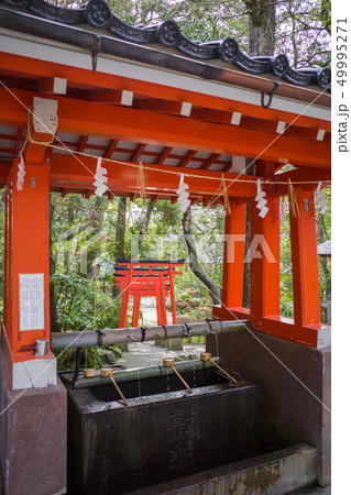 金澤神社 金澤神社 49995271