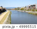京都の春は鴨川の風景から。水緩み、川辺には多くの花が咲き乱れます 49995515