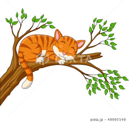 Cartoon Cat Sleeping On The Branchのイラスト素材