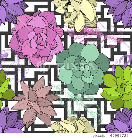 Vector Succulents floral botanical flower. Engraved ink art. Seamless background pattern. 49995722