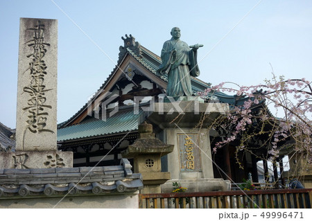 京都　妙傳寺 49996471