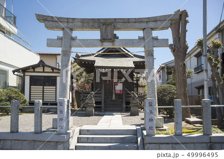 塩釜神社(鎌倉市台) 塩釜神社(鎌倉市台) 49996495