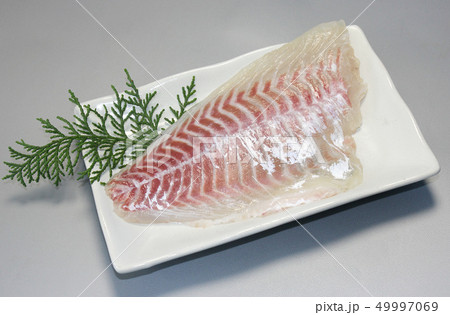 鯛の刺身 鯛の刺身 49997069