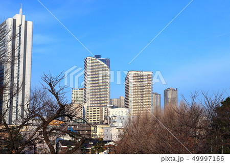 武蔵小杉駅周辺高層ビル群　多摩川土手より 49997166