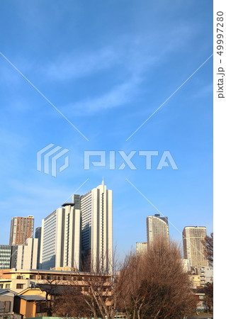 武蔵小杉駅周辺高層ビル群 多摩川土手より タテ位置 武蔵小杉駅周辺高層ビル群 多摩川土手より タテ位置 49997280