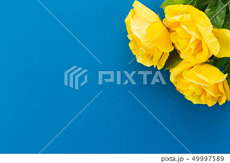 バラ(造花) バラ(造花) 49997589