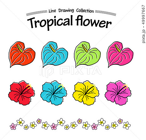 夏の花 熱帯植物 手描きアイコンセット のイラスト素材