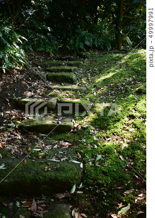 山道　入り口 49997991