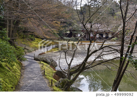 仙洞御所　醒花亭と南池の桜の馬場 49999092