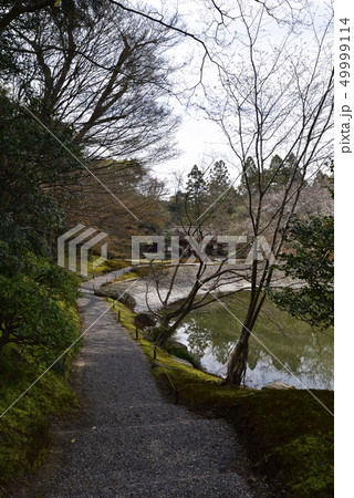 仙洞御所 醒花亭と南池の桜の馬場 仙洞御所 醒花亭と南池の桜の馬場 49999114