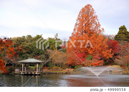 高岡古城公園 中の島(高岡城跡 富山県 高岡市) 高岡古城公園 中の島(高岡城跡 富山県 高岡市) 49999558