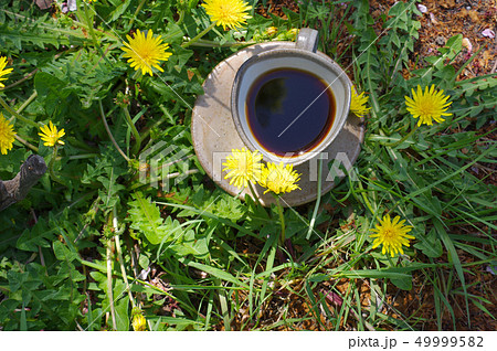 タンポポコーヒー 49999582