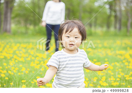 たんぽぽ畑で遊ぶ親子 49999828