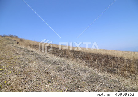 黒岩山・泉水山登山道 黒岩山・泉水山登山道 49999852