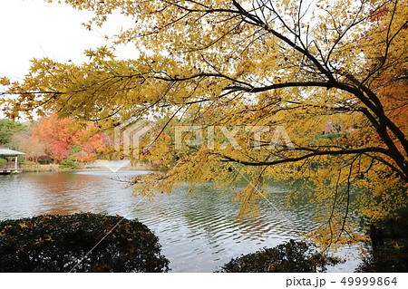 高岡古城公園 中の島(高岡城跡 富山県 高岡市) 高岡古城公園 中の島(高岡城跡 富山県 高岡市) 49999864