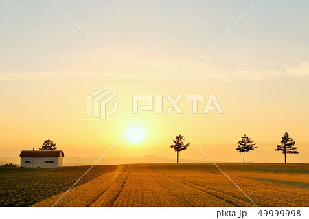 北海道 夕暮れのメルヘンの丘 北海道 夕暮れのメルヘンの丘 49999998