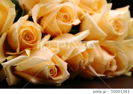 オレンジ色のバラの花束 50001363