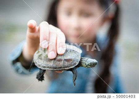 亀を持った子供 50001403