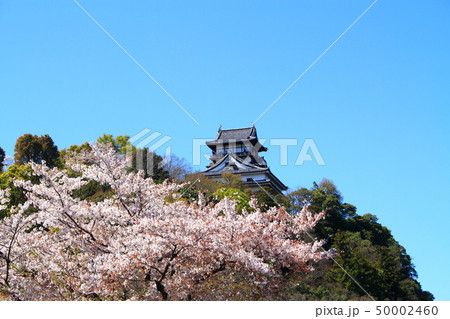 犬山城と桜 犬山市都市風景 犬山城と桜 犬山市都市風景 50002460