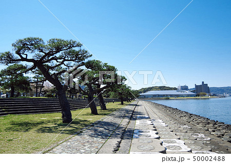 晴天の宍道湖畔 … 島根県 松江市 天候：晴れ 50002488