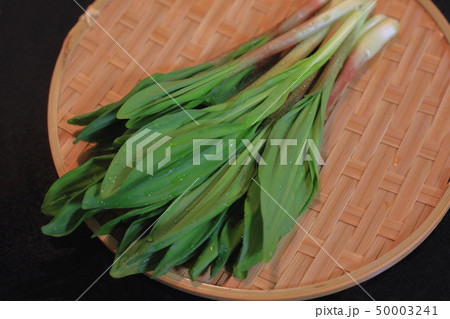 行者ニンニク 行者ニンニク 50003241